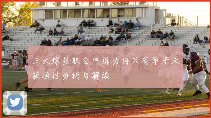 三大球星联合申诉为何只有华子未获通过分析与解读