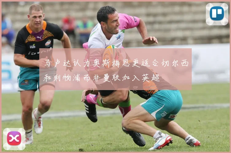 马卢达认为奥斯梅恩更适合切尔西和利物浦而非曼联加入英超