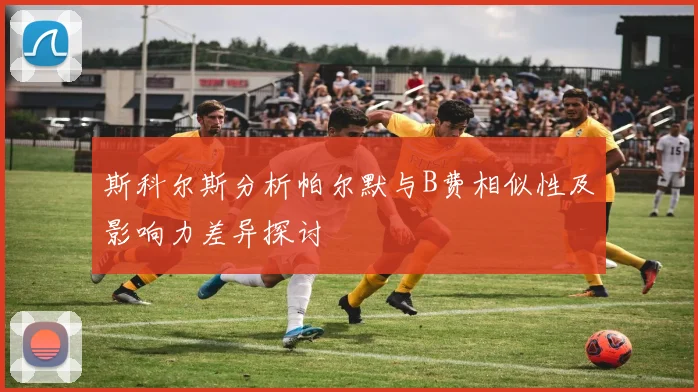 斯科尔斯分析帕尔默与B费相似性及影响力差异探讨