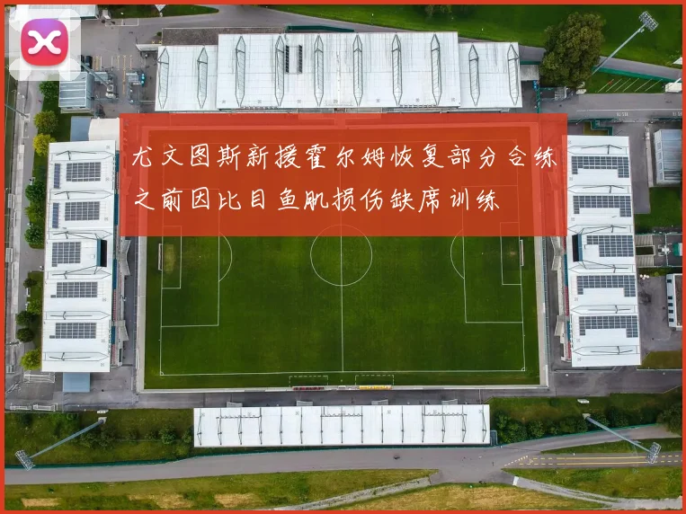尤文图斯新援霍尔姆恢复部分合练之前因比目鱼肌损伤缺席训练