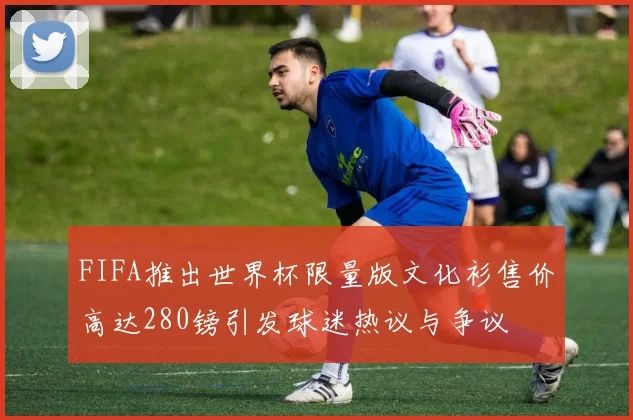 FIFA推出世界杯限量版文化衫售价高达280镑引发球迷热议与争议